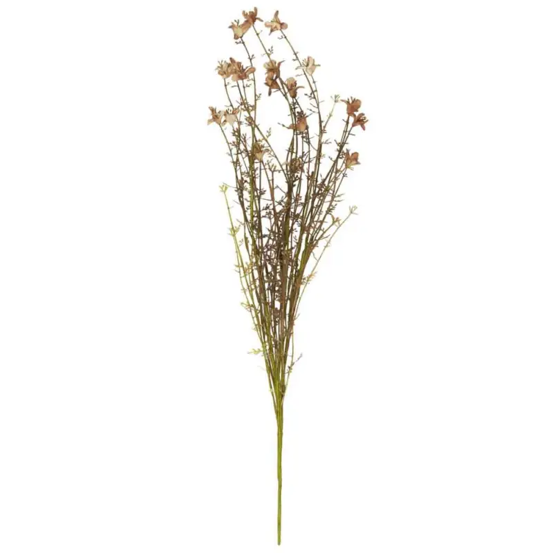 Populär Blomkvist Nuancer Brun