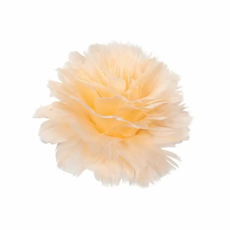 Fjäderblomma med clip Aprikos Sista chansen