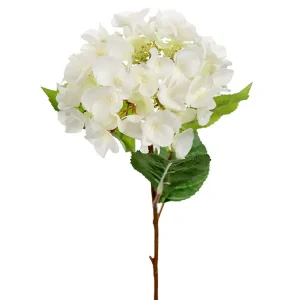 Hortensia Kvist Vit 18x45cm Reapris