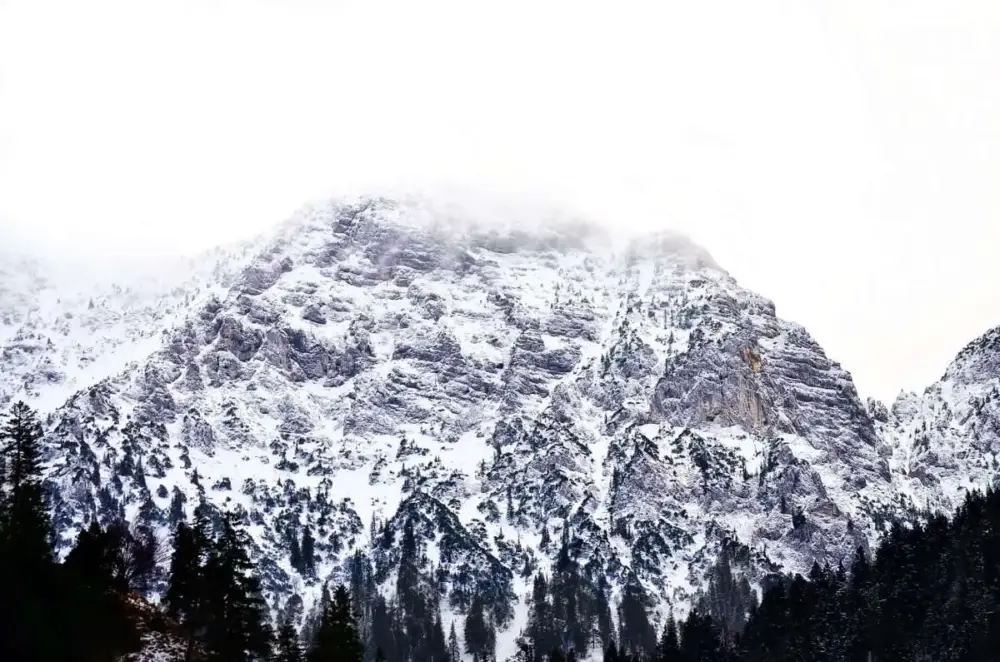 Sista chansen Poster Naturmotiv – Vinterbergstopp