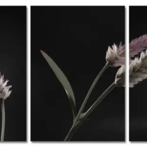 Beställ nu Vackert Blommotiv - Poster i Tre delar