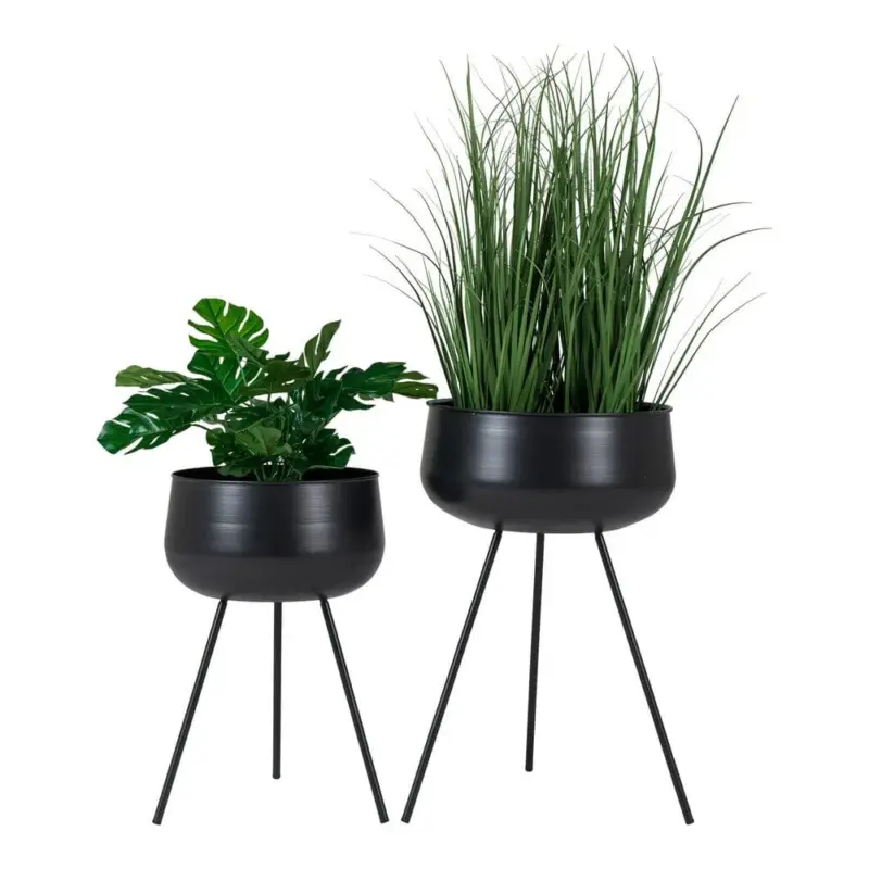House Nordic Blomkruka Ardola 2-pack Populär
