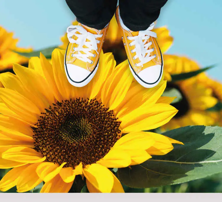 Begränsad tid Ljus solrosdesign Vinylmatta blommor och växter