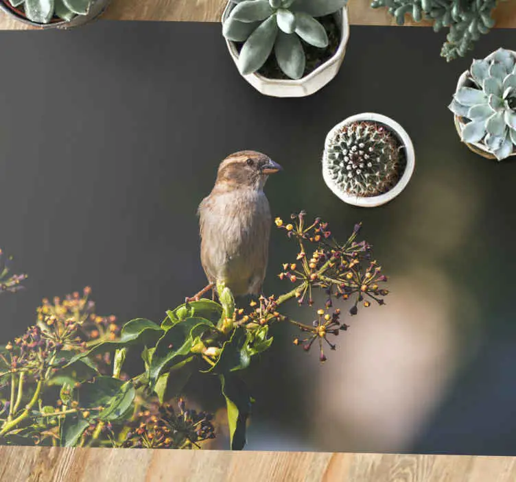 Charmig fågel uppe Vinylmatta natur I lager