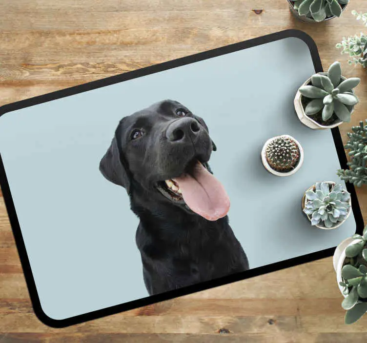Lågt pris Le hund djur matta