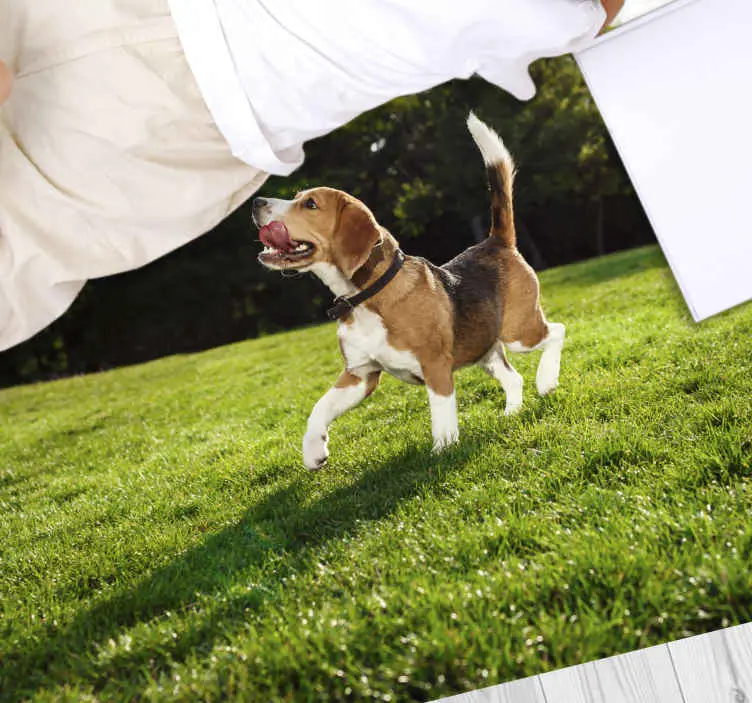 Billigare Glad beagle springer Vinylmatta djur