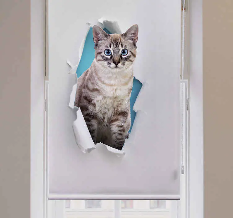 Rabatter Kattdjur rullgardin