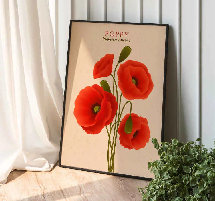 Köp online Vallmo Posters blommor