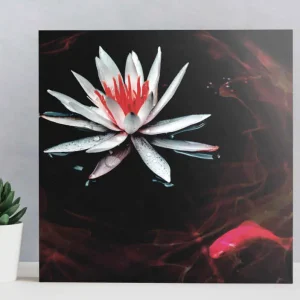 Zen-stil zen-väggkonst Säker betalning