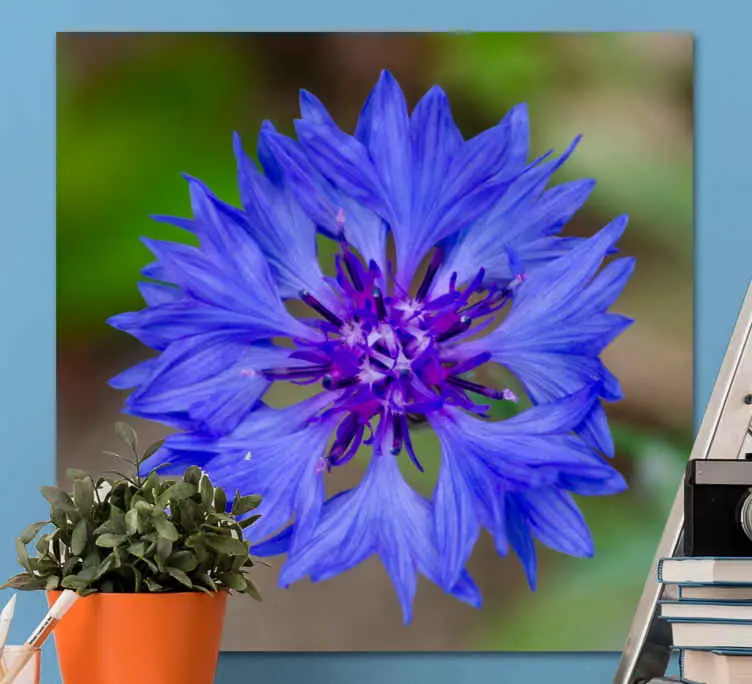 Blå vacker blåblommigcanvas tavla Erbjudande