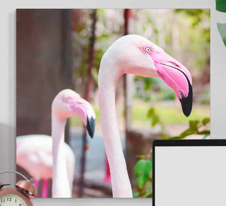 Kanvas fåglar eleganta flamingos tillsammans Fynd