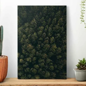 "natur" flygfoto grön brun tallar landskap vägg canvas Utförsäljning