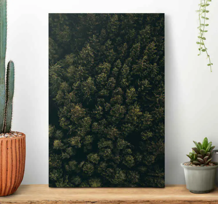 "natur" flygfoto grön brun tallar landskap vägg canvas Utförsäljning