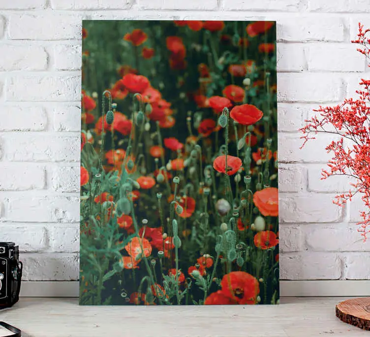 Säker betalning Vallmo och små vita blommor blommigcanvas tavla