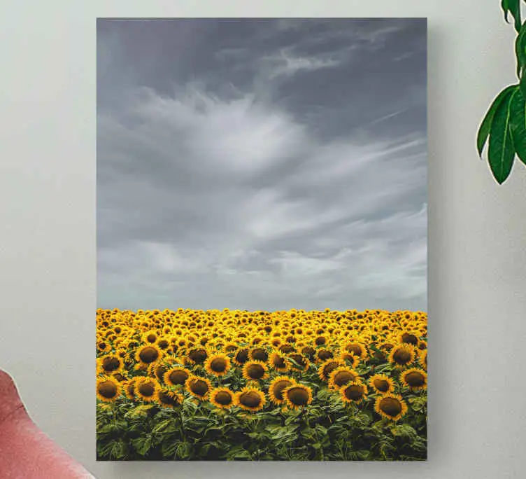 Sista chansen Kanvas blommor och växter solrosäng