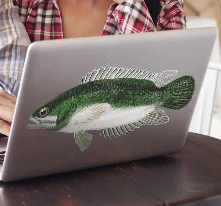 Rabatter Abborre laptop hud