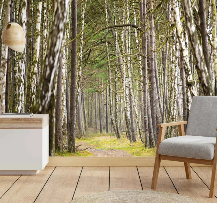 Erbjudande Solig björk skog natur fototapeter