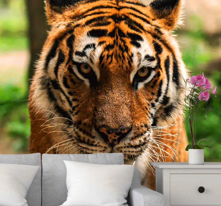 Fototapeter djur regal tiger bild Köp online