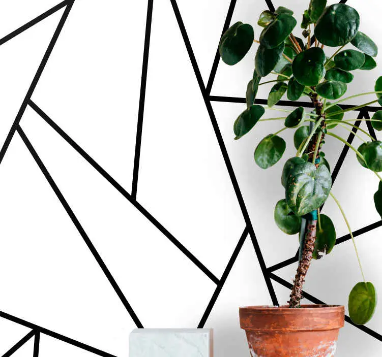 Fototapeter abstrakt geometriska svarta linjer Outlet