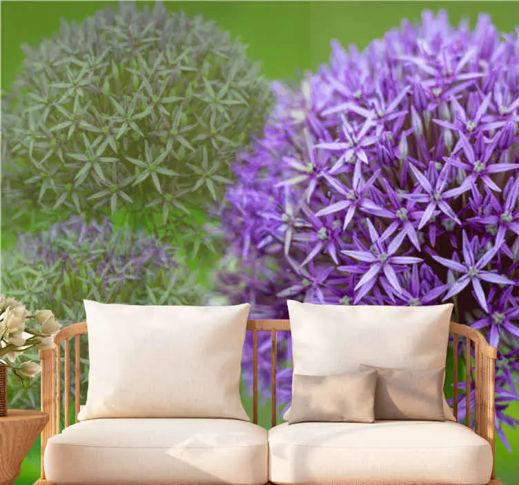 Fototapeter vallmor lila blomsterarrangemang Rabatter