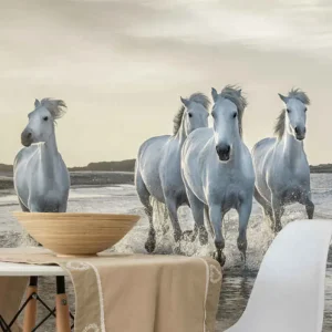 Vita och bruna hästar springer på stranden fototapeta tapet Endast denna vecka
