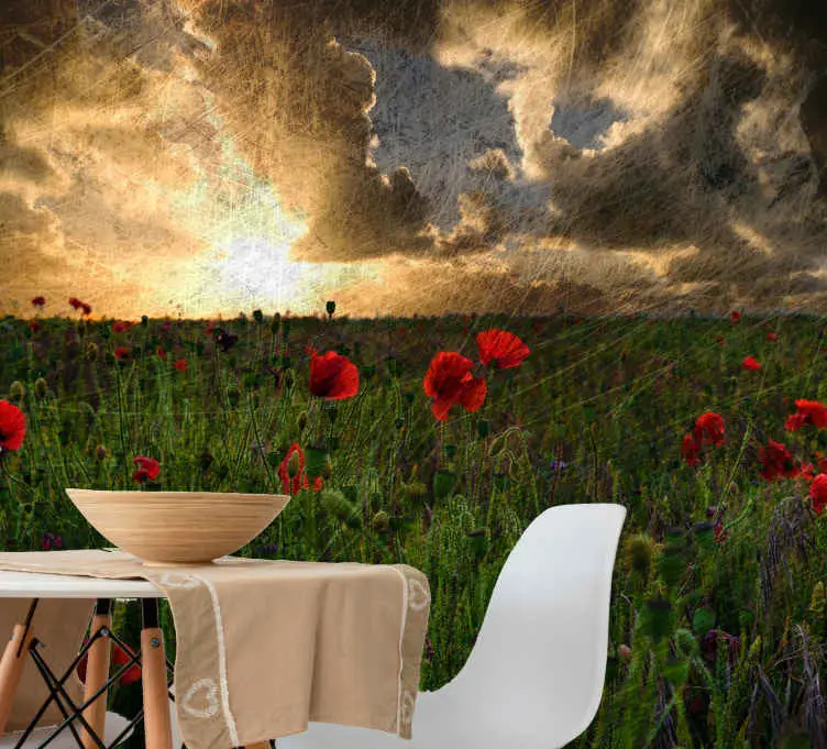 Fynd Molnig himmel polsk vallmo tapet foto