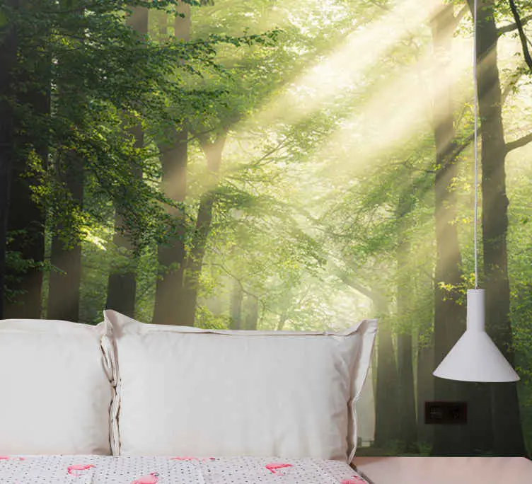 Träd med solen blixt natur fototapeter Kampanj