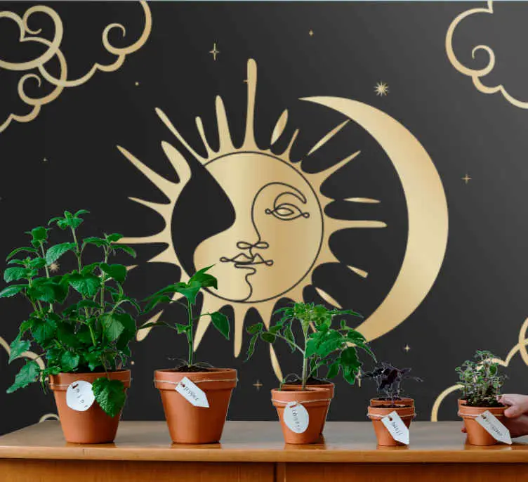 Beställ nu Sol- och månmotiv fantasy fototapeta