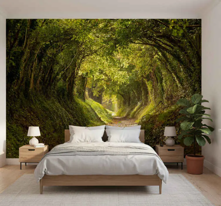 Beställ nu Fototapeter skogar immersiv skogsväggmålning