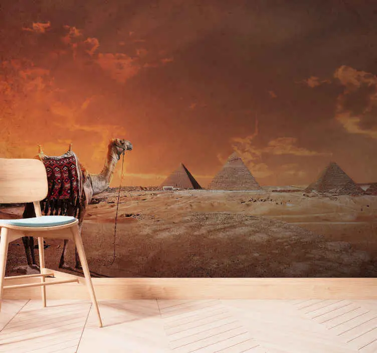 Beställ idag Pyramider och kameler Fototapeter Landskap